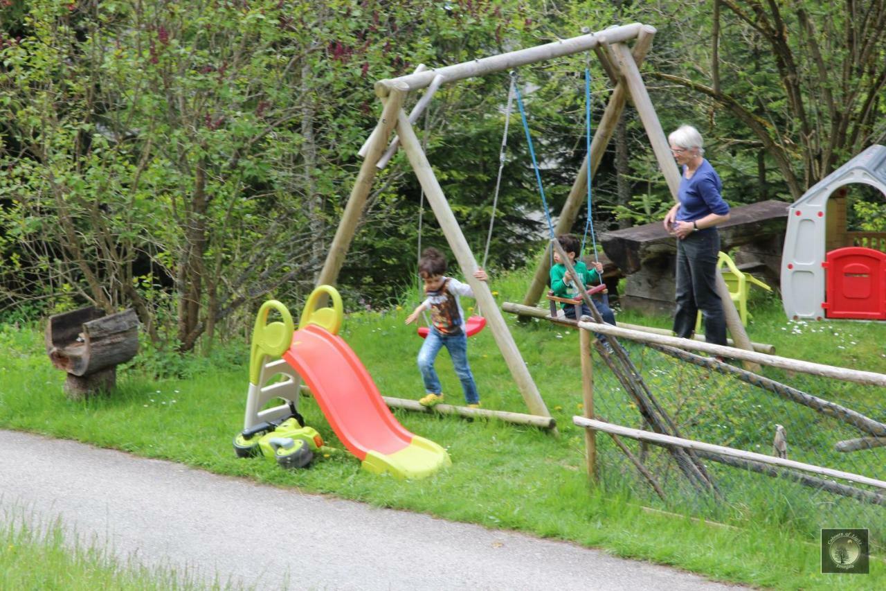 Alpenhaus Ganser-Dixit Mariazell Dış mekan fotoğraf