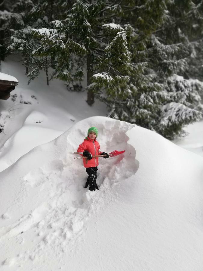 Alpenhaus Ganser-Dixit Mariazell Dış mekan fotoğraf
